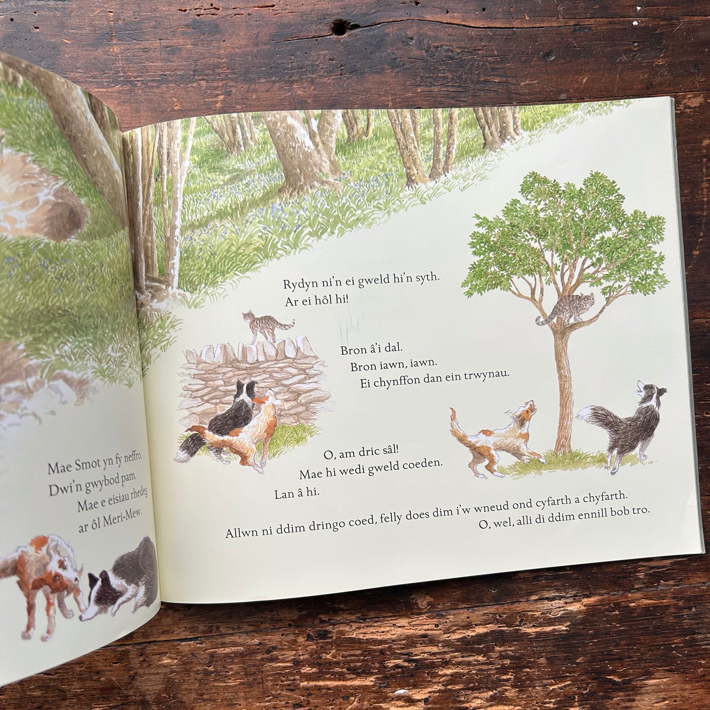 Diwrnod Ben digedig - Michael Morpurgo & Patrick Benson (Preloved)