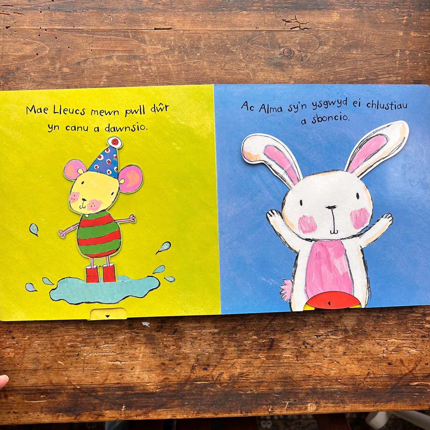 Diwrnod Prysur Popi'r Gath - Lara Jones (Preloved)