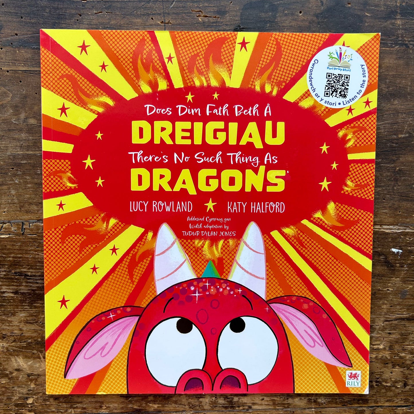Does Dim Fath Beth a Dreigiau / There's No Such Thing as Dragons (Preloved)