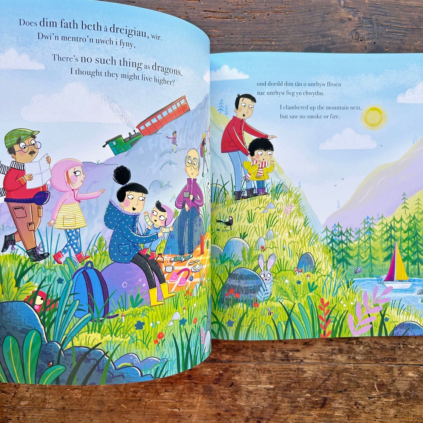 Does Dim Fath Beth a Dreigiau / There's No Such Thing as Dragons (Preloved)