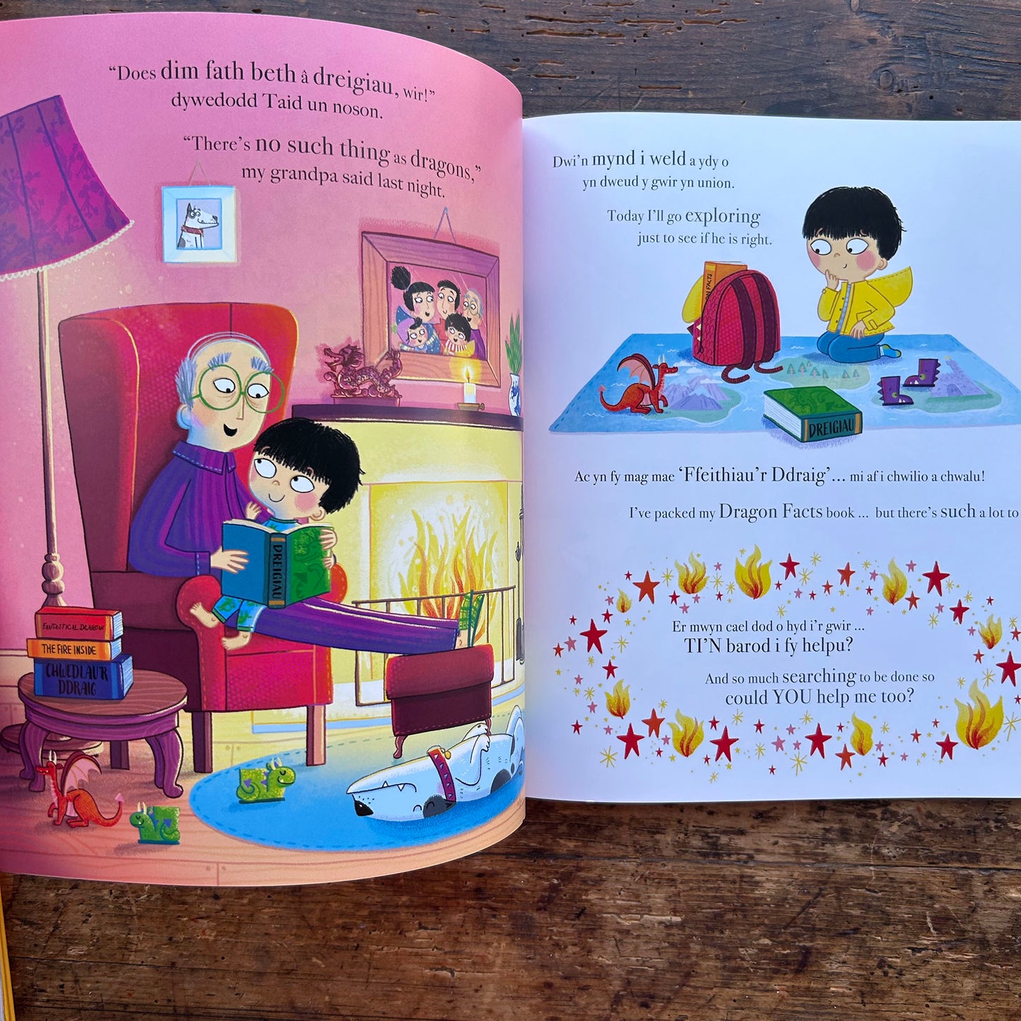 Does Dim Fath Beth a Dreigiau / There's No Such Thing as Dragons (Preloved)