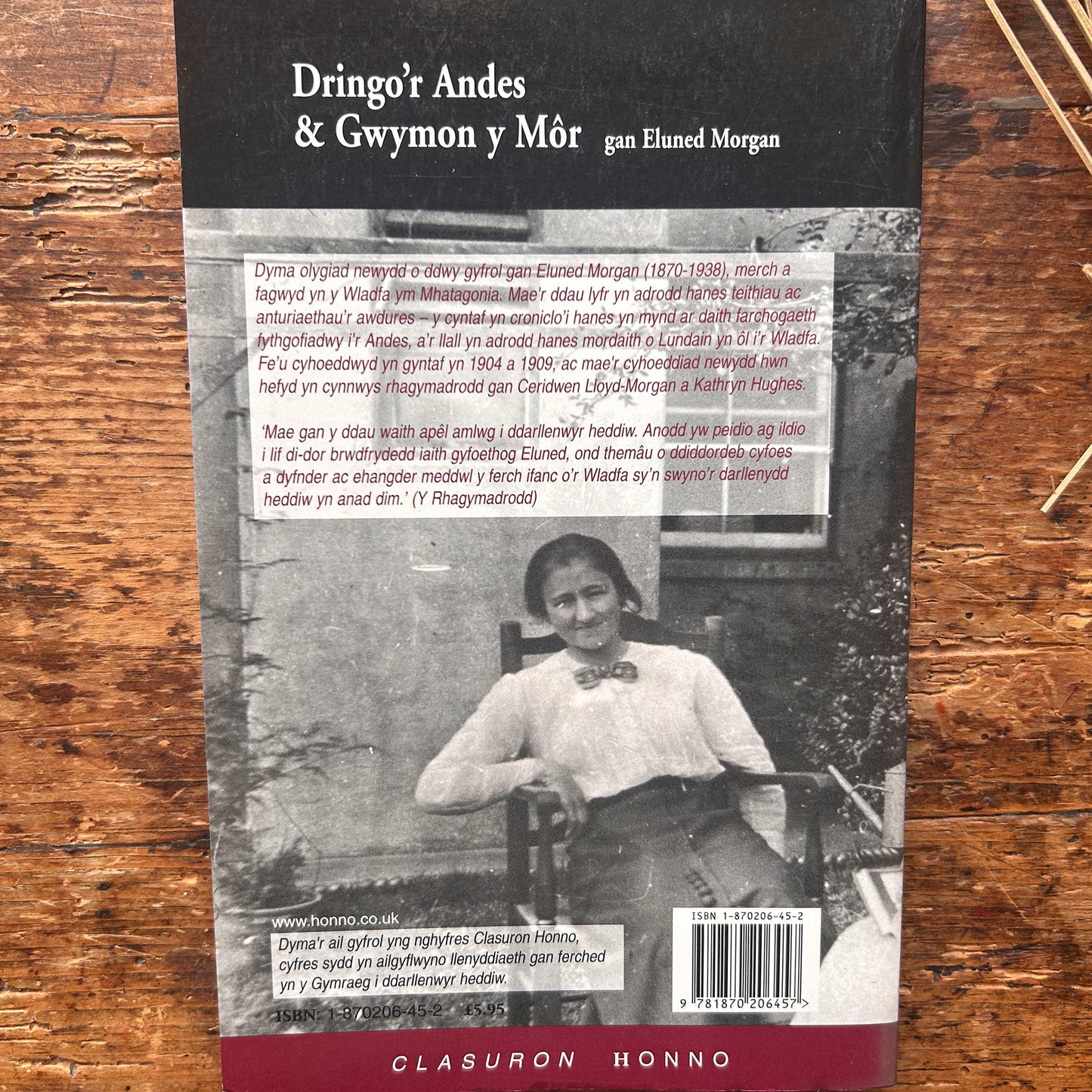 Nedw - E. Tegla Davies - Byrddau Glas - 1922 (Wedi'i ail-law)