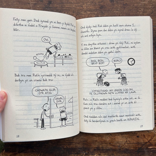 Dyddiadur Dripsyn - Y Brawd Mawr - Jeff Kinney (Preloved)
