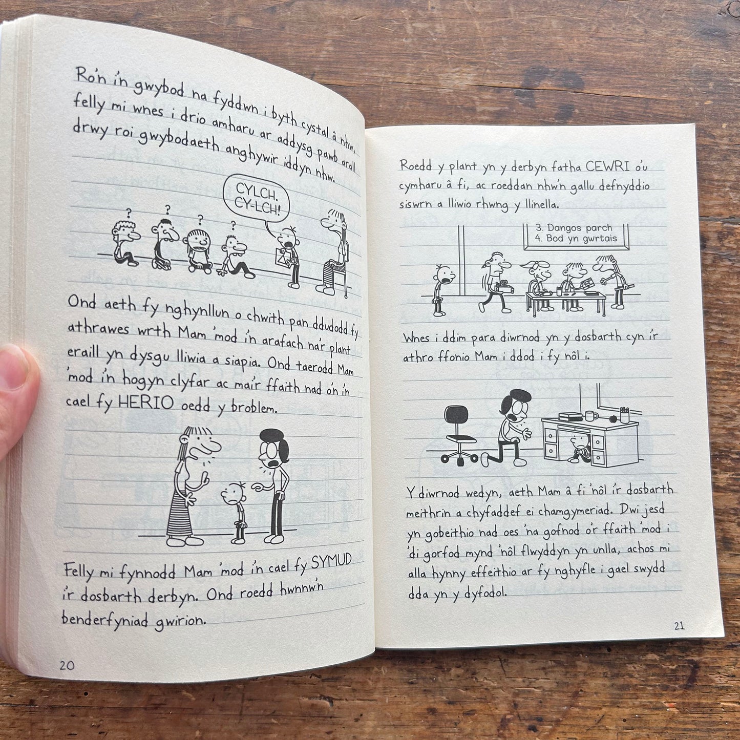 Dyddiadur Dripsyn: Y Gwsberan (Preloved)