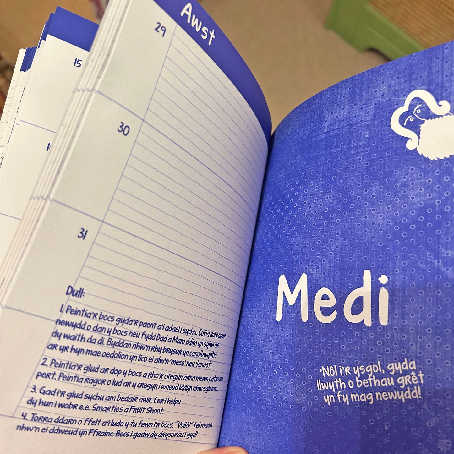 Dyddiadur Nel - Welsh Children's Diary