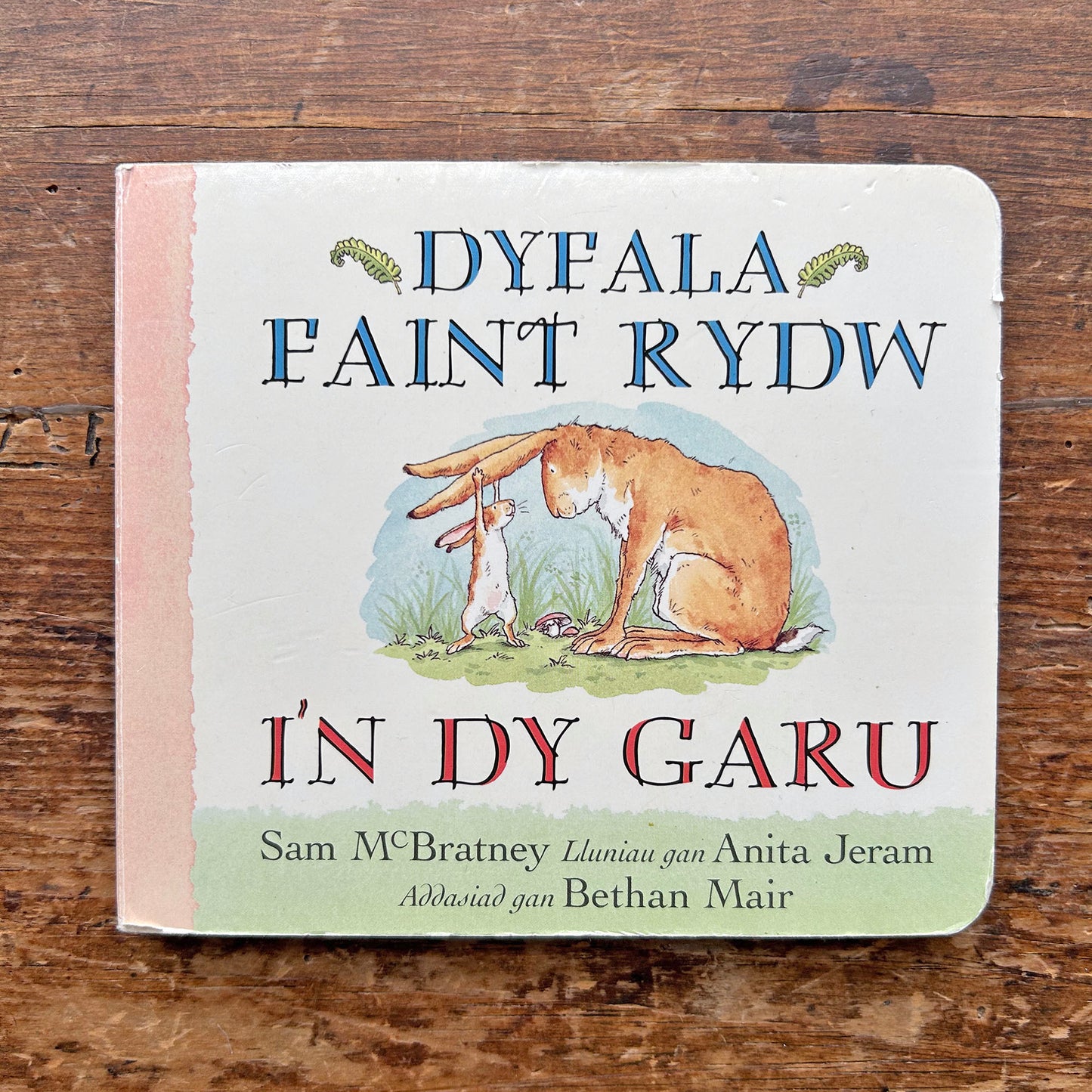 Dyfala Faint Rydw I'n dy Garu / Guess How Much I Love You (Preloved)