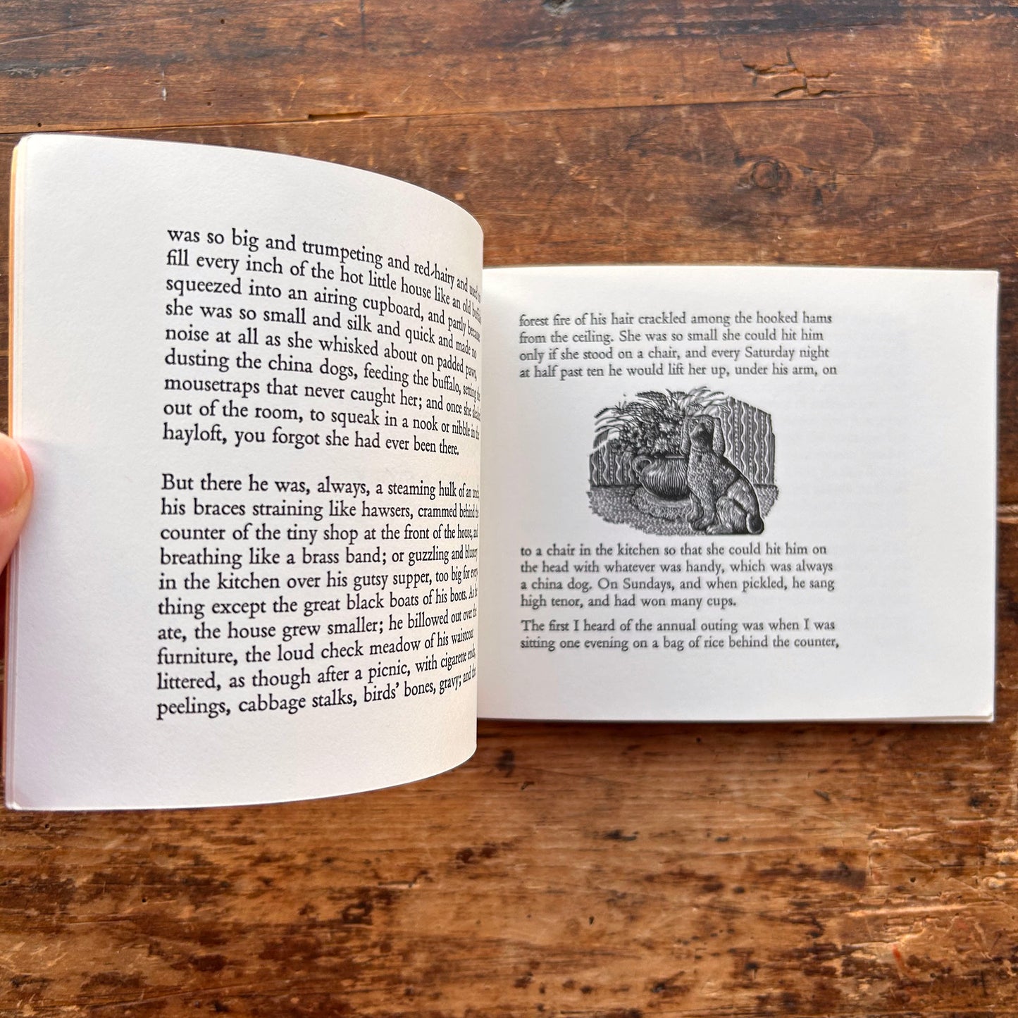 Dylan Thomas: The Outing 1978 (Preloved)