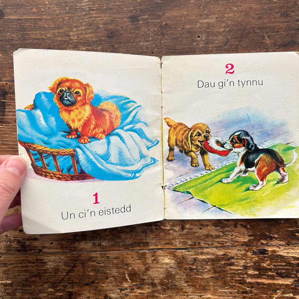 Dyma Lyfr Rhifo'r Cwn / The Dogs Counting Book  - Aneurin Jenkins-Jones 1960's (Preloved)