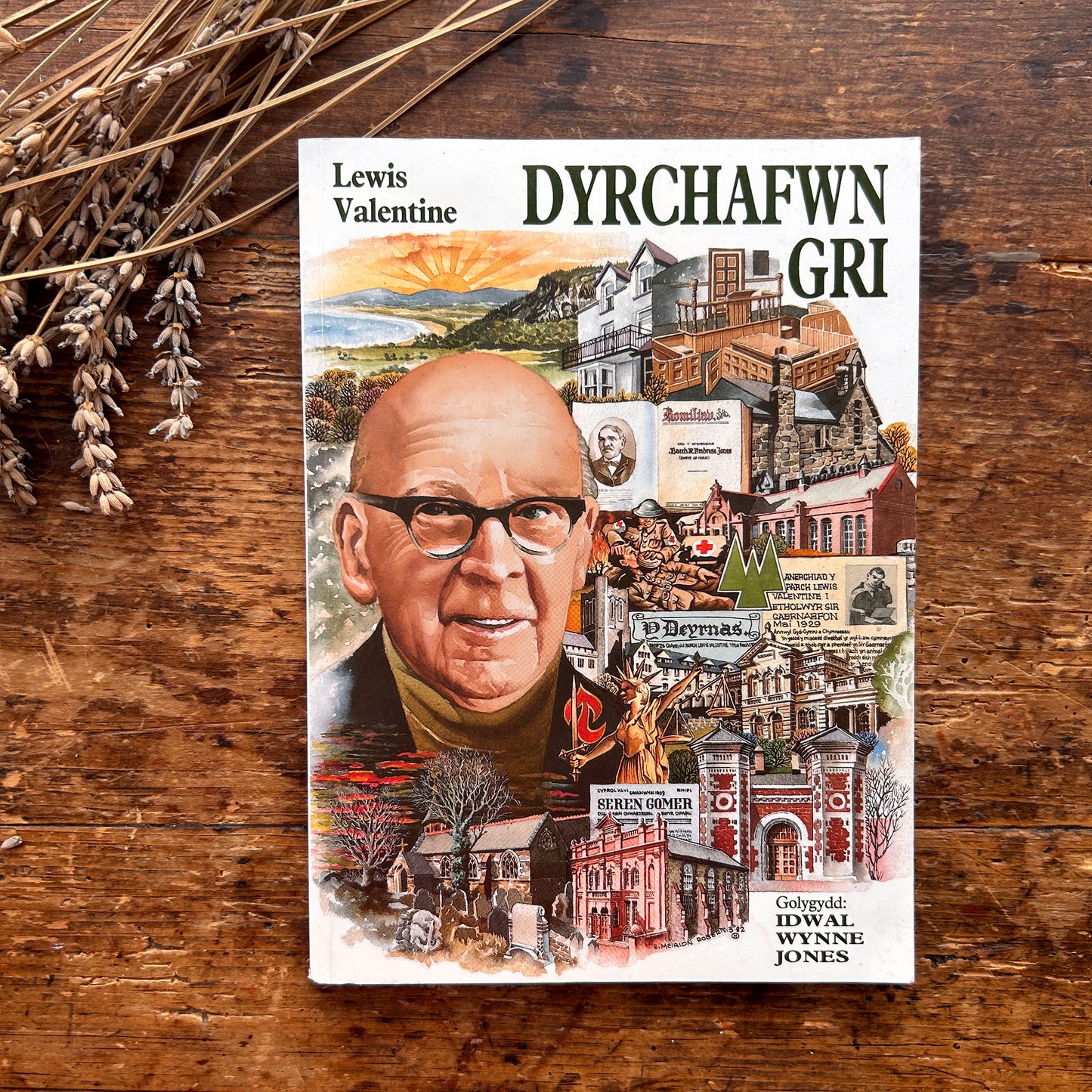Dyrchafwn Gri  - Lewis Valentine Biography - Idwal Wynne Jones (Preloved)