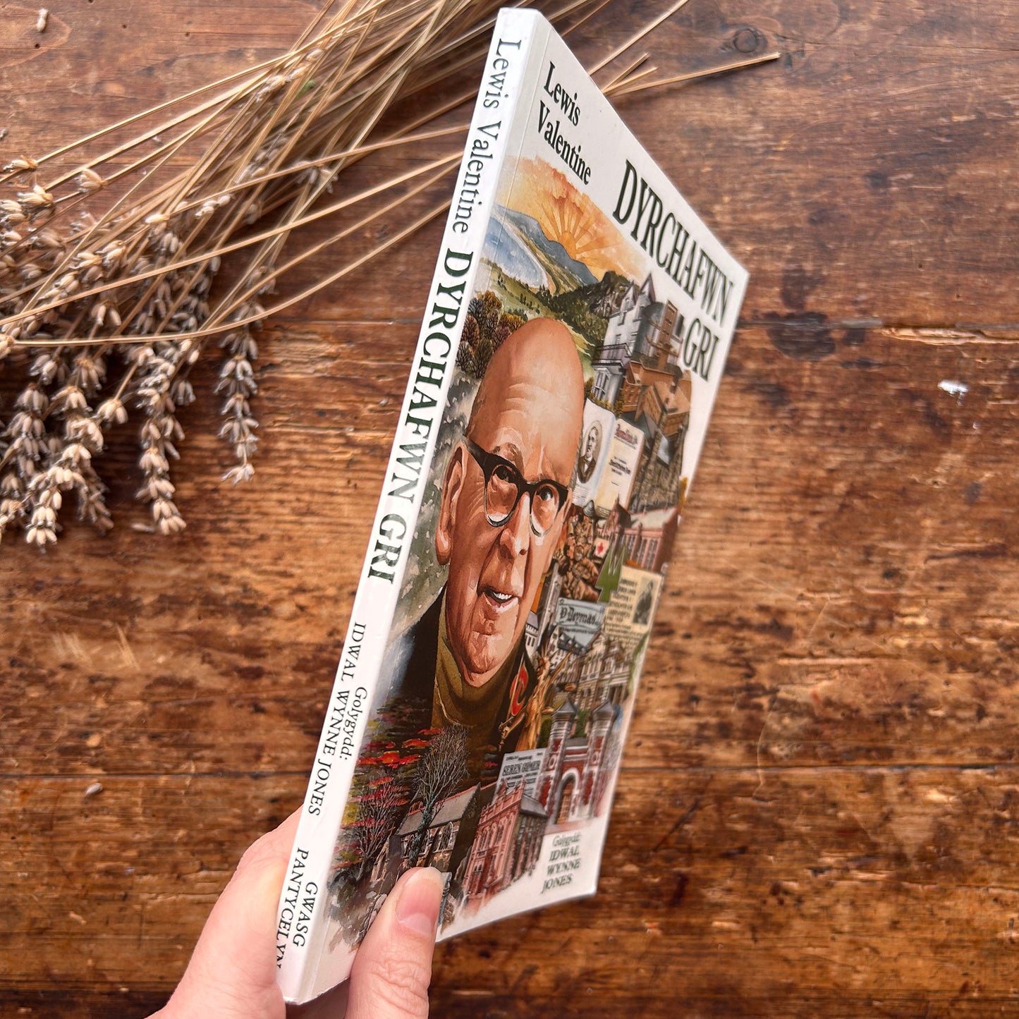 Dyrchafwn Gri  - Lewis Valentine Biography - Idwal Wynne Jones (Preloved)