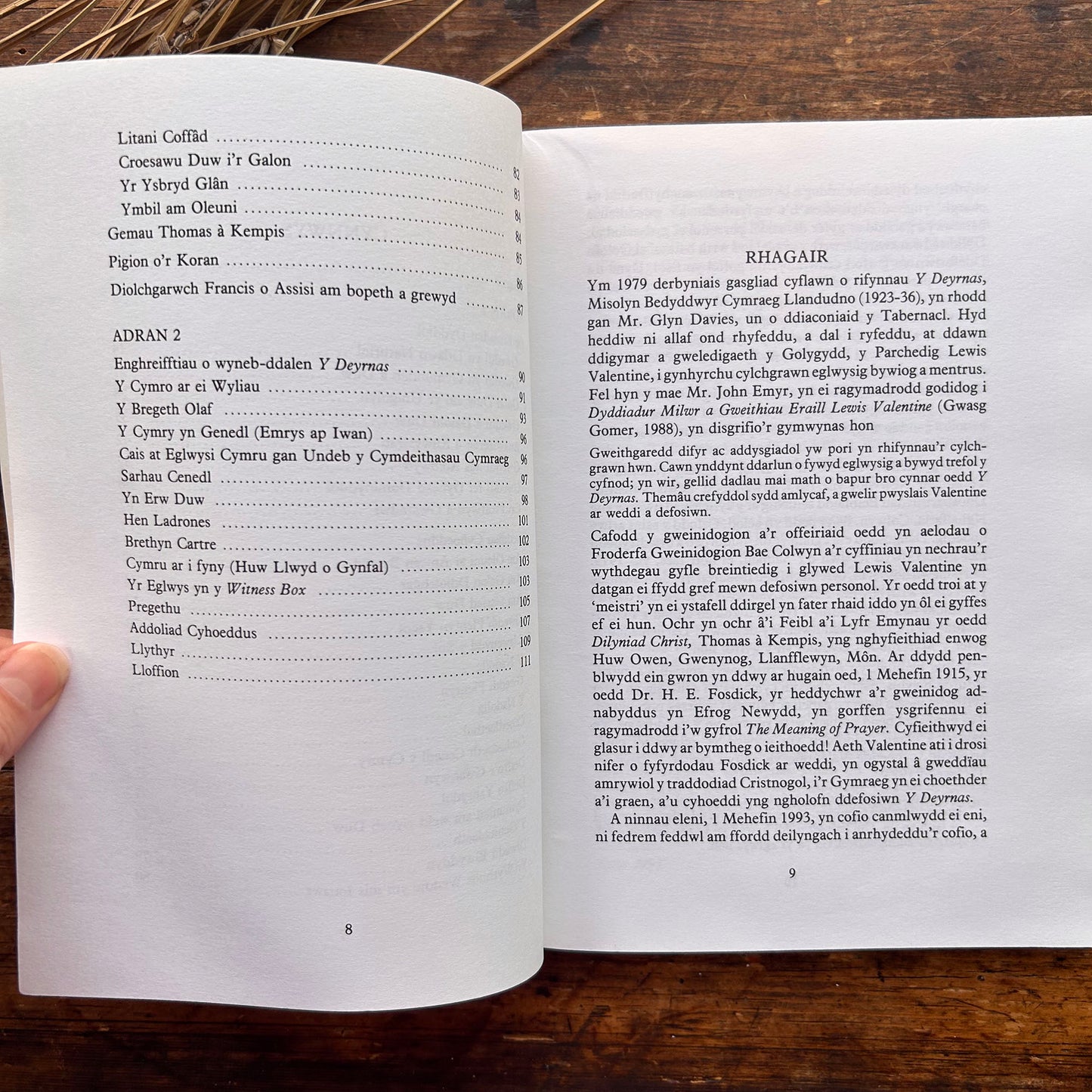 Dyrchafwn Gri  - Lewis Valentine Biography - Idwal Wynne Jones (Preloved)