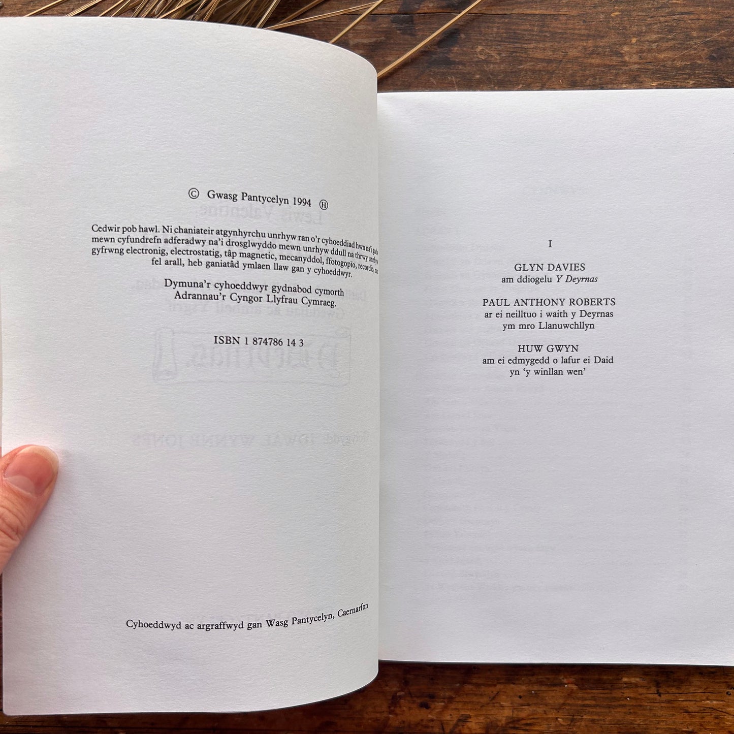 Dyrchafwn Gri  - Lewis Valentine Biography - Idwal Wynne Jones (Preloved)