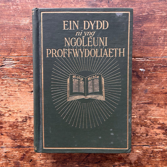 Ein Dyfdd ni yng Ngoleuni Proffwydoliaeth - W A Spicer (Preloved)