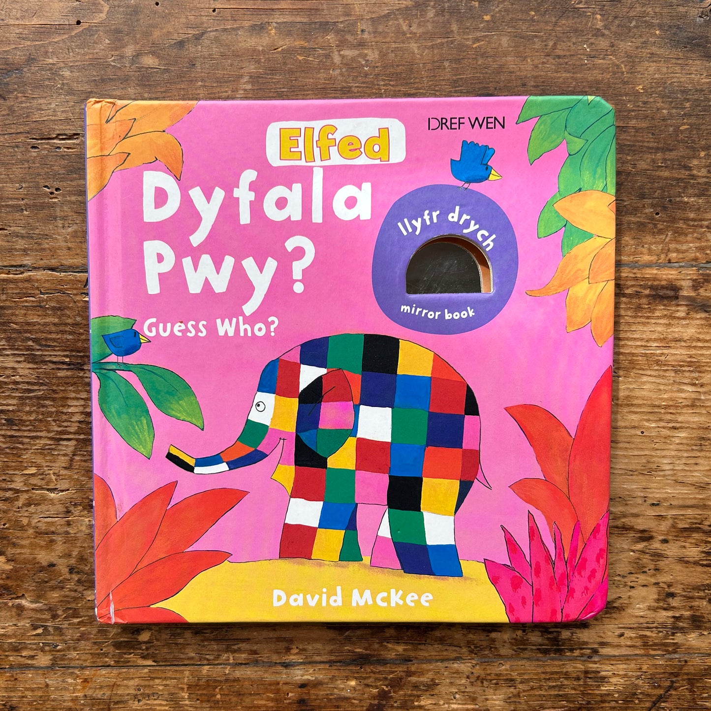Elfed - Dyfala Pwy? Guess Who? - David McKee 2017 (Preloved)