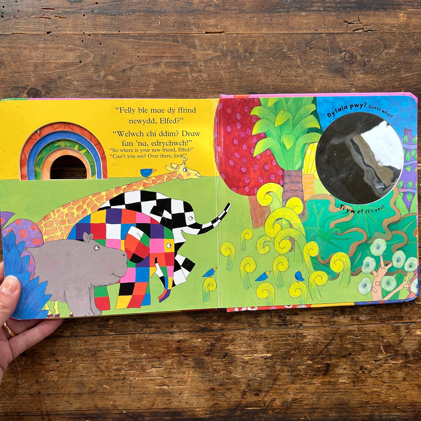 Elfed - Dyfala Pwy? Guess Who? - David McKee 2017 (Preloved)