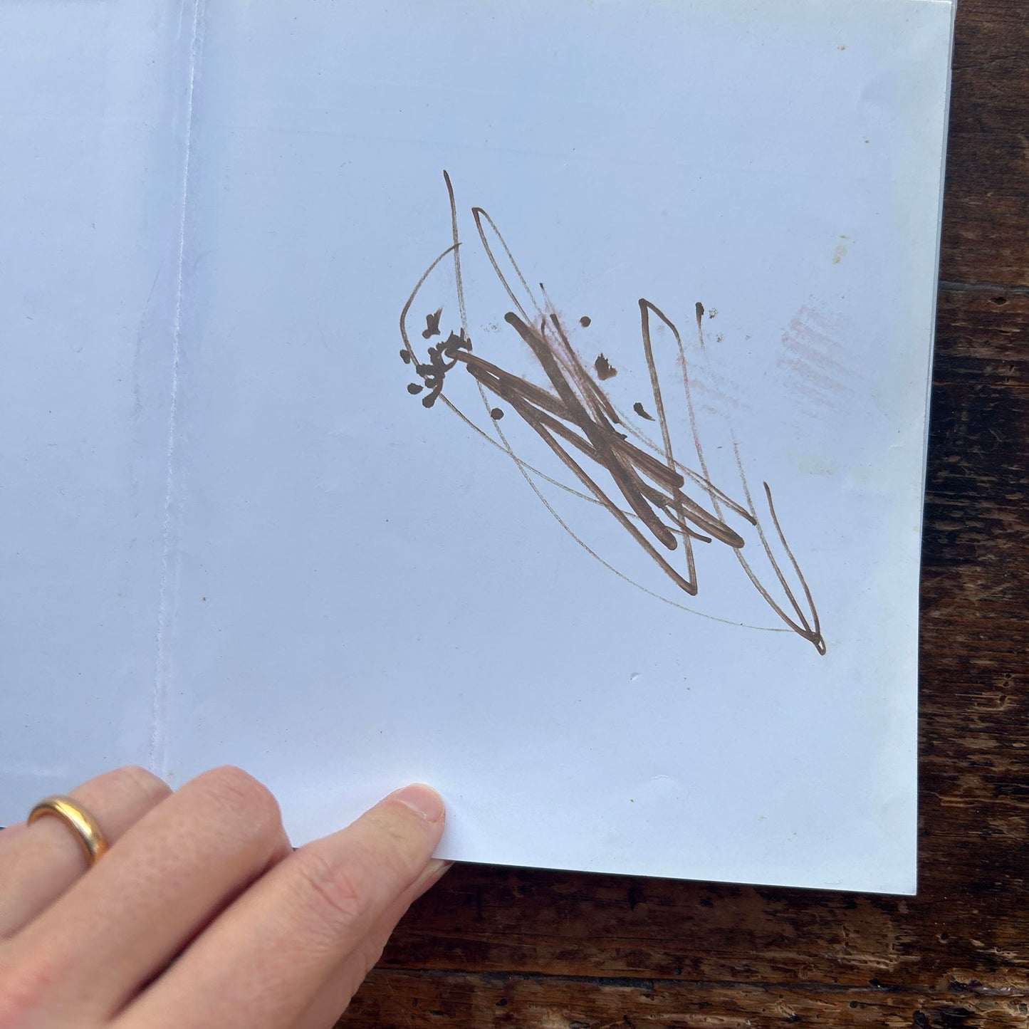 Eliffant - Anifeiliad Bach Gwylltt (Preloved)