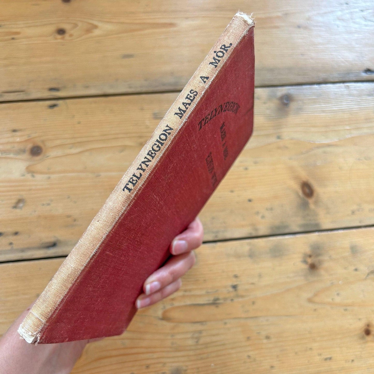Telynegion - Maes a Mor - Eifion Wyn - Vintage Welsh Poetry (preloved)