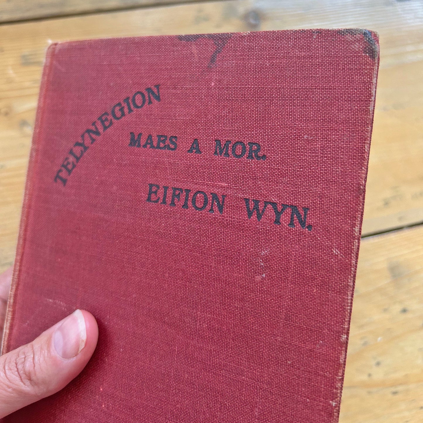 Telynegion - Maes a Mor - Eifion Wyn - Vintage Welsh Poetry (preloved)