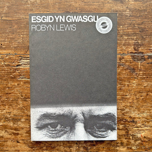 Esgid Yn Gwasgu - Robyn Lewis (Preloved)