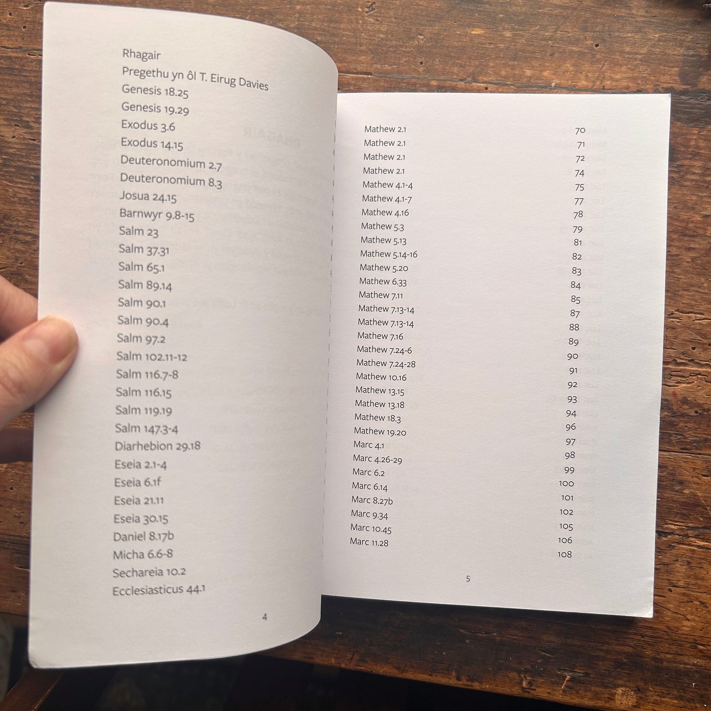 Esgyrn Brasluniol Pregethau y Parchg. T. Eirug Davies (1892-1951) (Preloved)