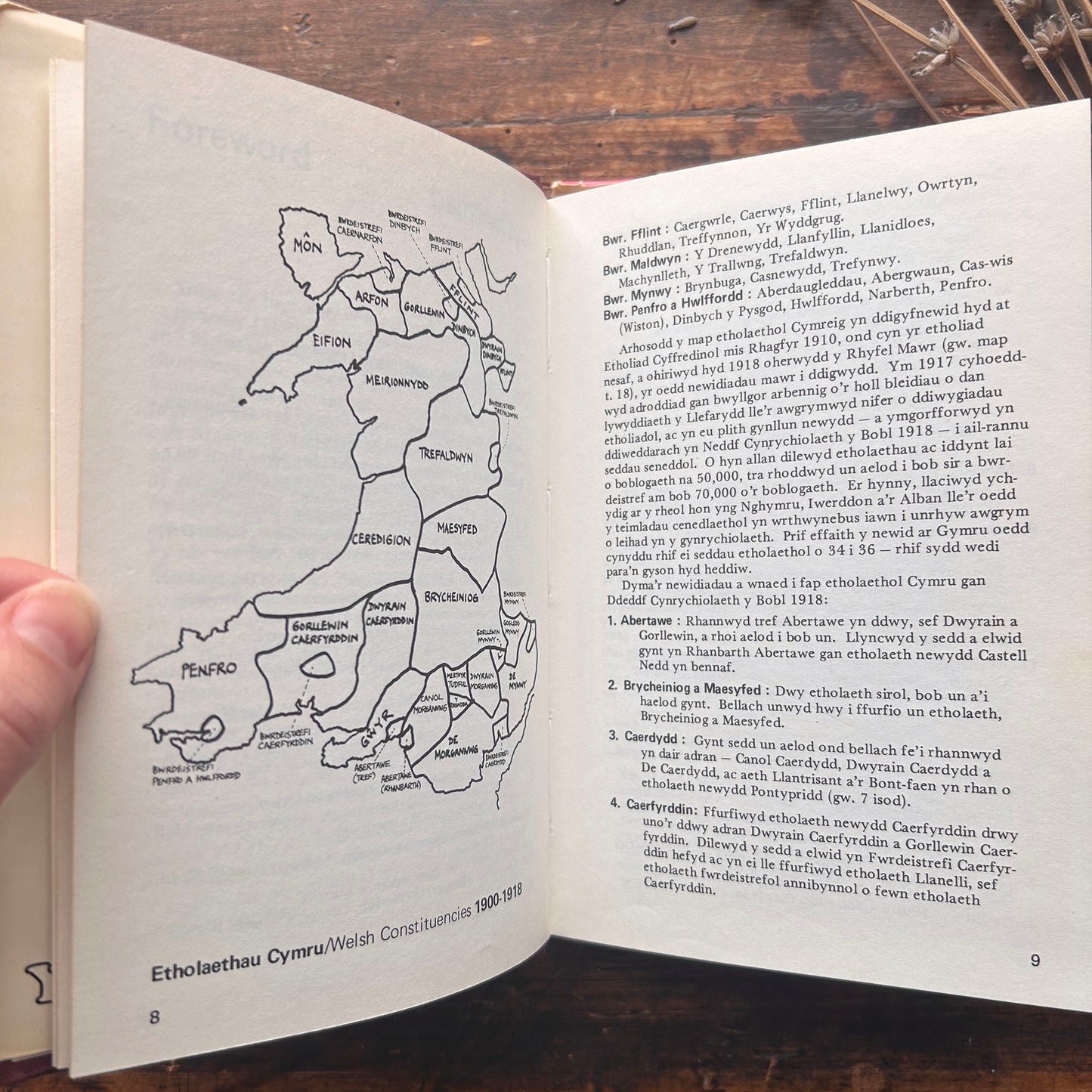 Etholiadau Seneddol yng Nghymru 1900-75 - 1977 (Preloved)