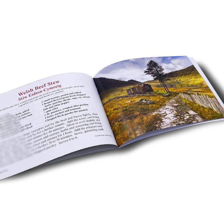 Welsh Books Welsh Books and Welsh Authors – The Welsh Gift Shop