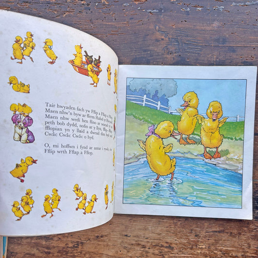 Fflip a Fflap a Fflop - Cyfres y Frân Wen - 18 (Preloved)