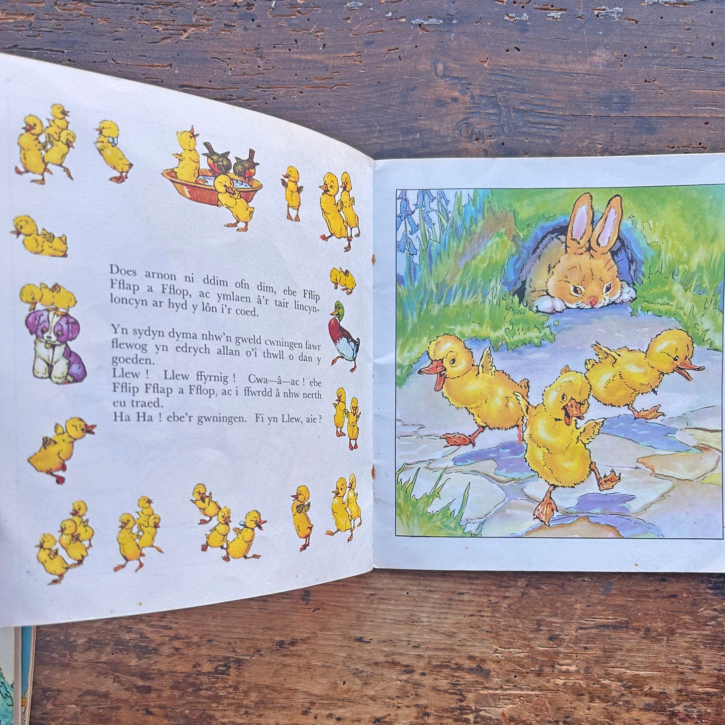 Fflip a Fflap a Fflop - Cyfres y Frân Wen - 18 (Preloved)