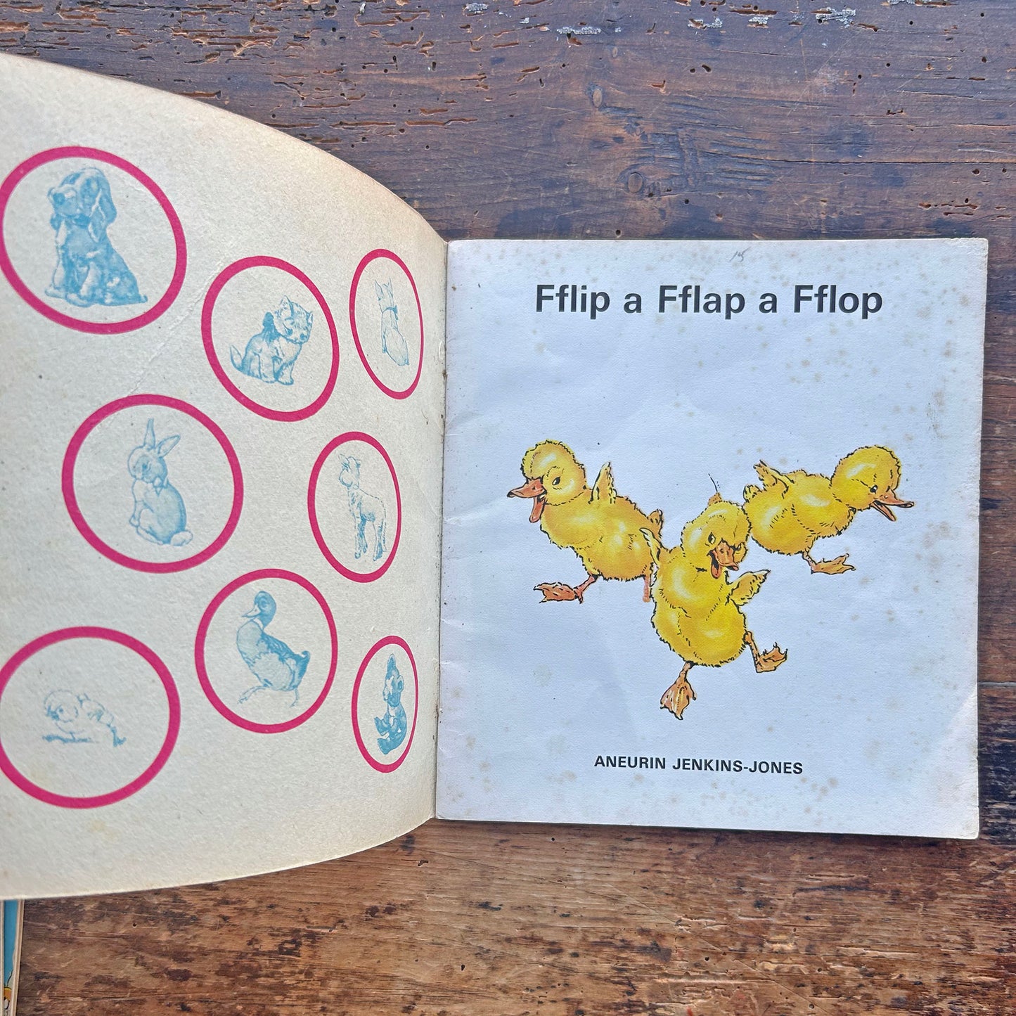 Fflip a Fflap a Fflop - Cyfres y Frân Wen - 18 (Preloved)