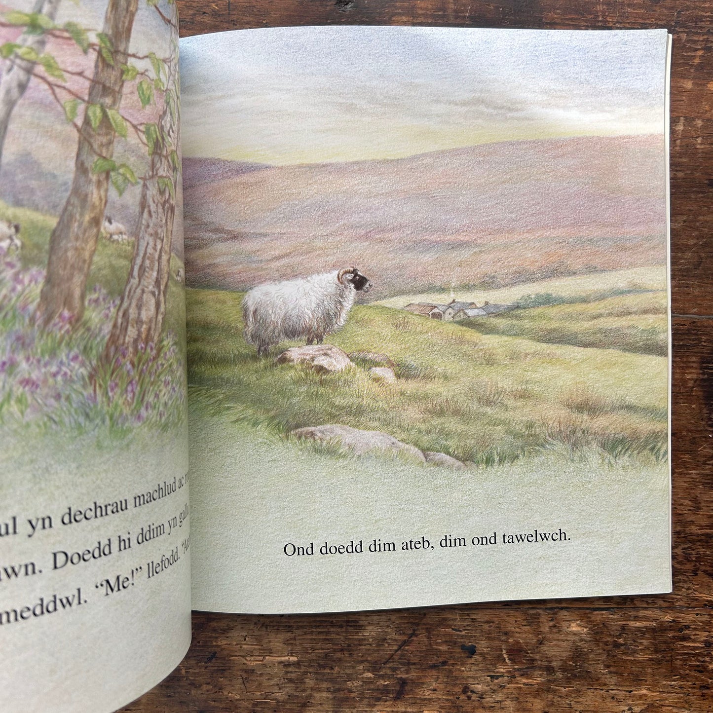 Cymeriadau'r Beibl - Cymeriadau Beiblaidd 1957 (Preloved)