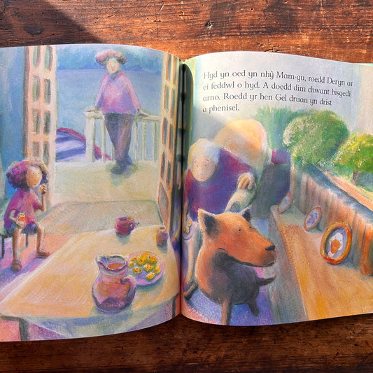 Ffrind Newydd Gel - Jane Simmons 1999 (Preloved)