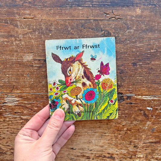 Ffrwt ar Ffrwst - Cyfres Storiau Hwian 2 - Miniature (Preloved)