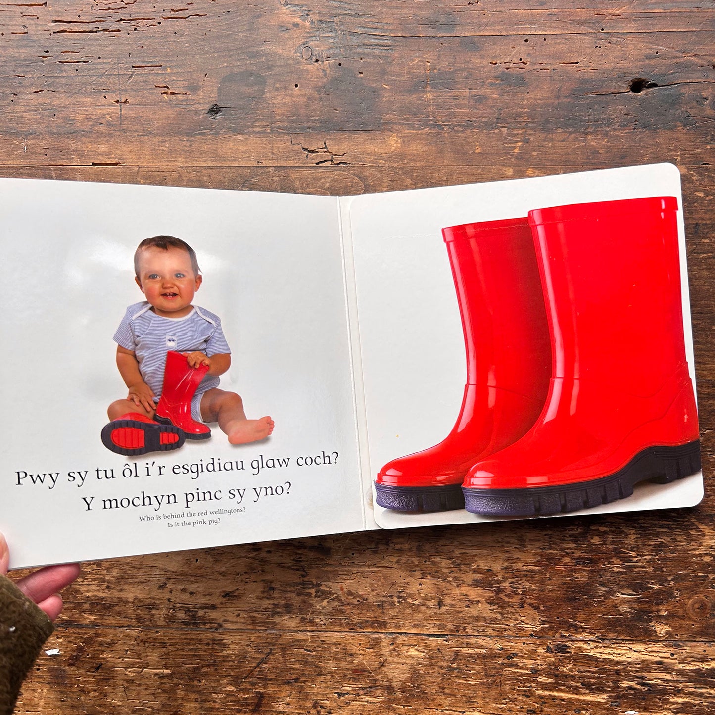 Fy Fferm Fach - Pi-Po! (Preloved)