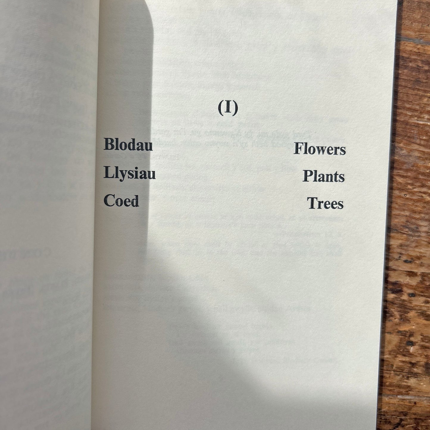 Geiriadur y Gwerinwr / Dictionary of Countryside - D. Moelwyn Williams 1975 (Preloved)