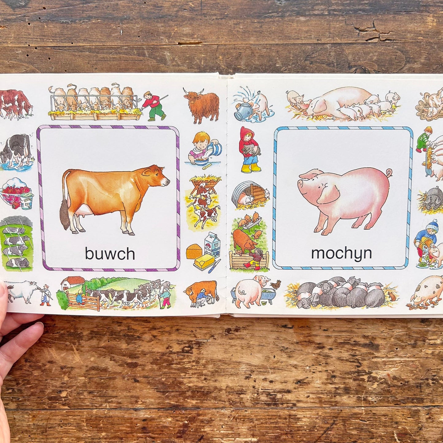 Geiriau Anifeiliaid - Animal Words 1989 (Preloved)