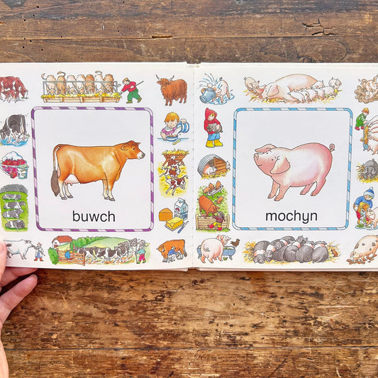 Geiriau Anifeiliaid - Animal Words 1989 (Preloved)