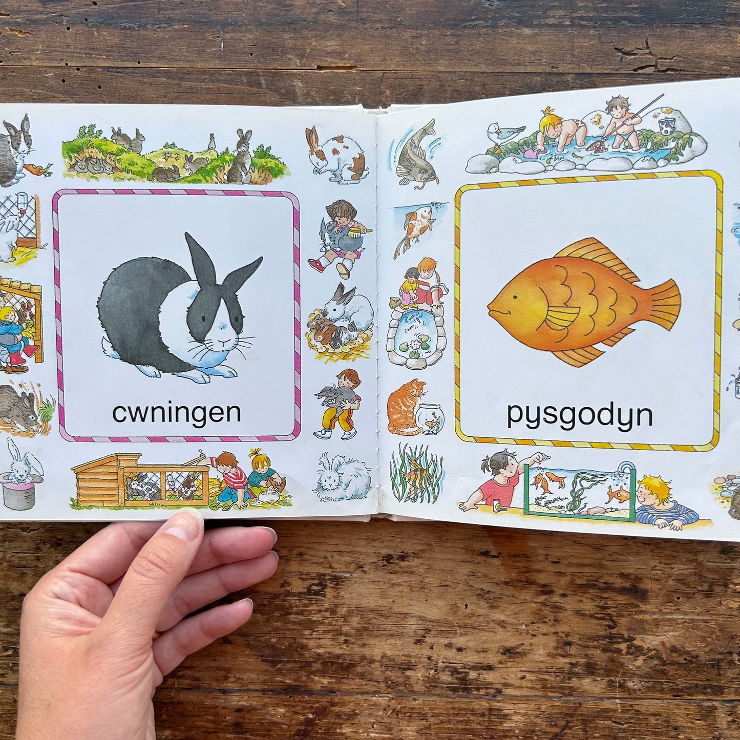 Geiriau Anifeiliaid - Animal Words 1989 (Preloved)