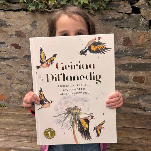 Storïau Hud Merlen - Fy Merlen Hedfan Hud - Llyfr Gwthio Tynnu Tro