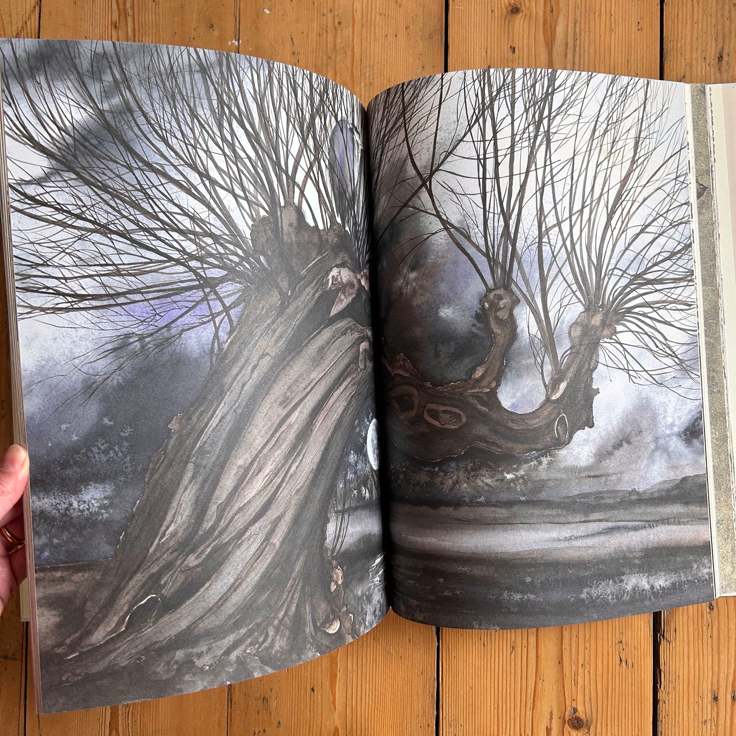 Geiriau Diflanedig - Robert Macfarlane & Jackie Morris (Preloved)