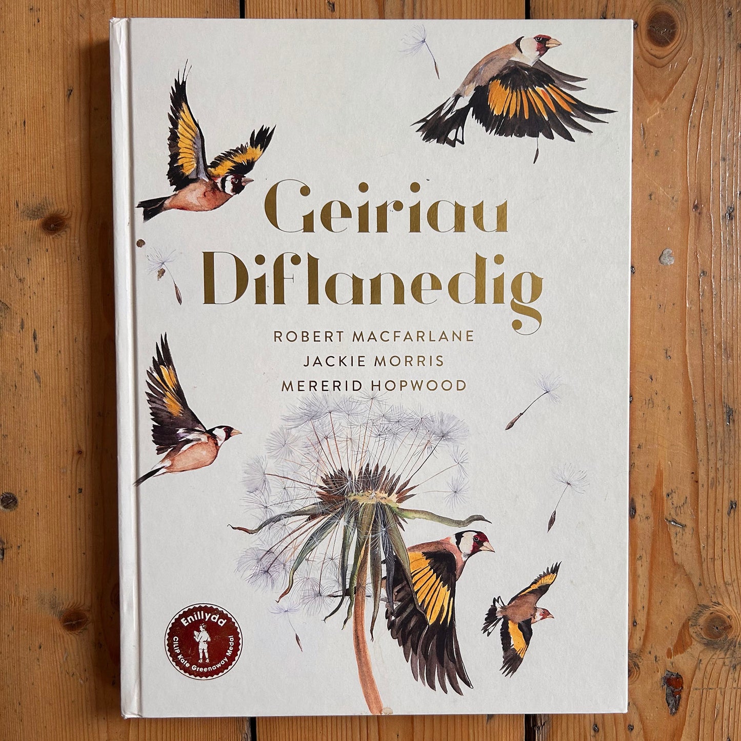 Geiriau Diflanedig - Robert Macfarlane & Jackie Morris (Preloved)