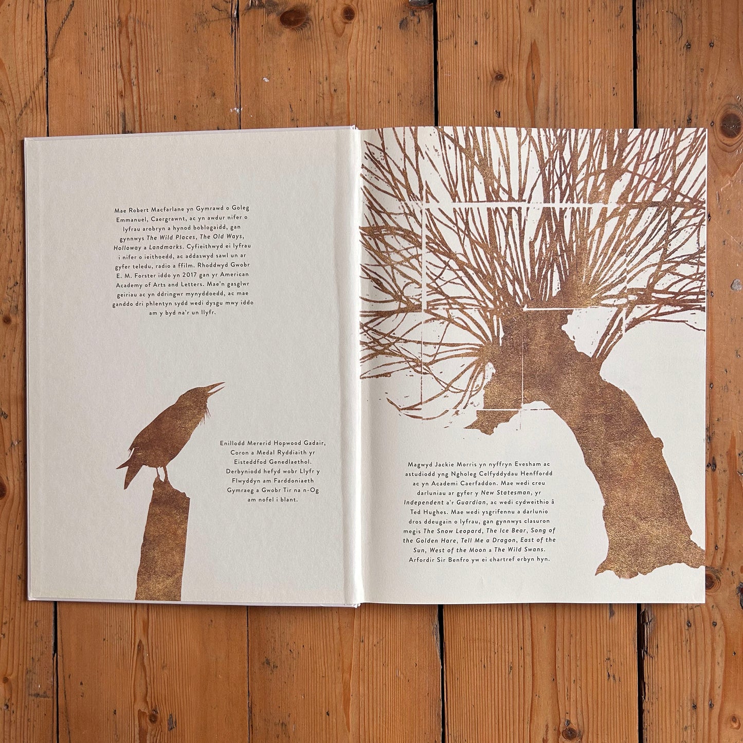 Geiriau Diflanedig - Robert Macfarlane & Jackie Morris (Preloved)