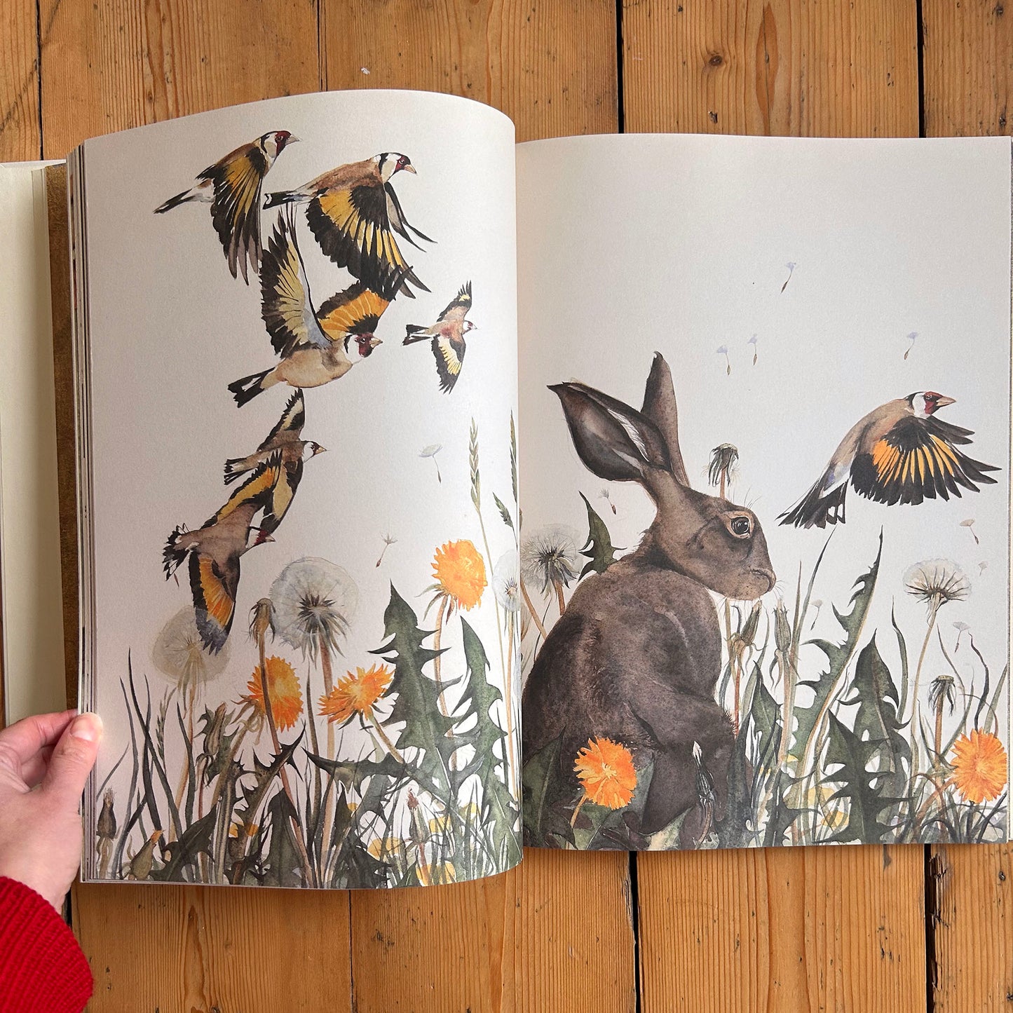Geiriau Diflanedig - Robert Macfarlane & Jackie Morris (Preloved)