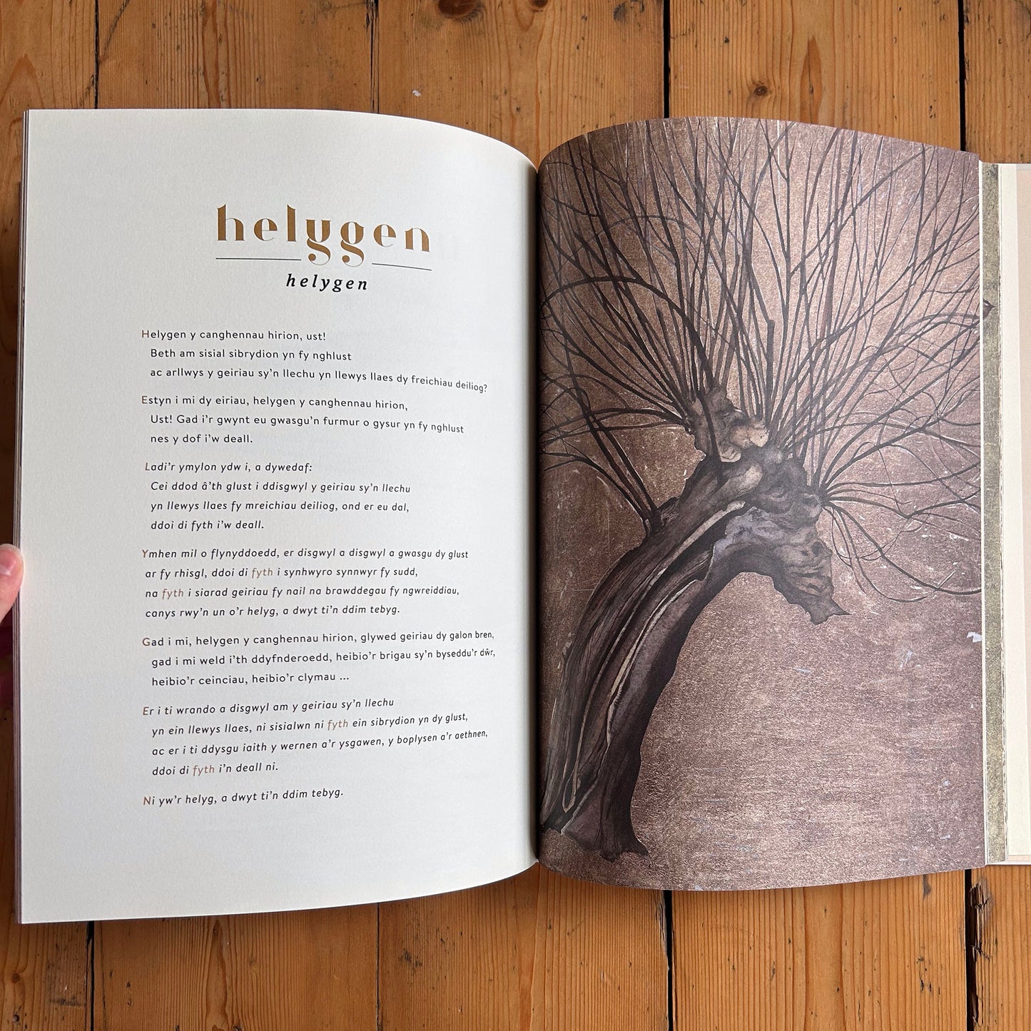 Geiriau Diflanedig - Robert Macfarlane & Jackie Morris (Preloved)