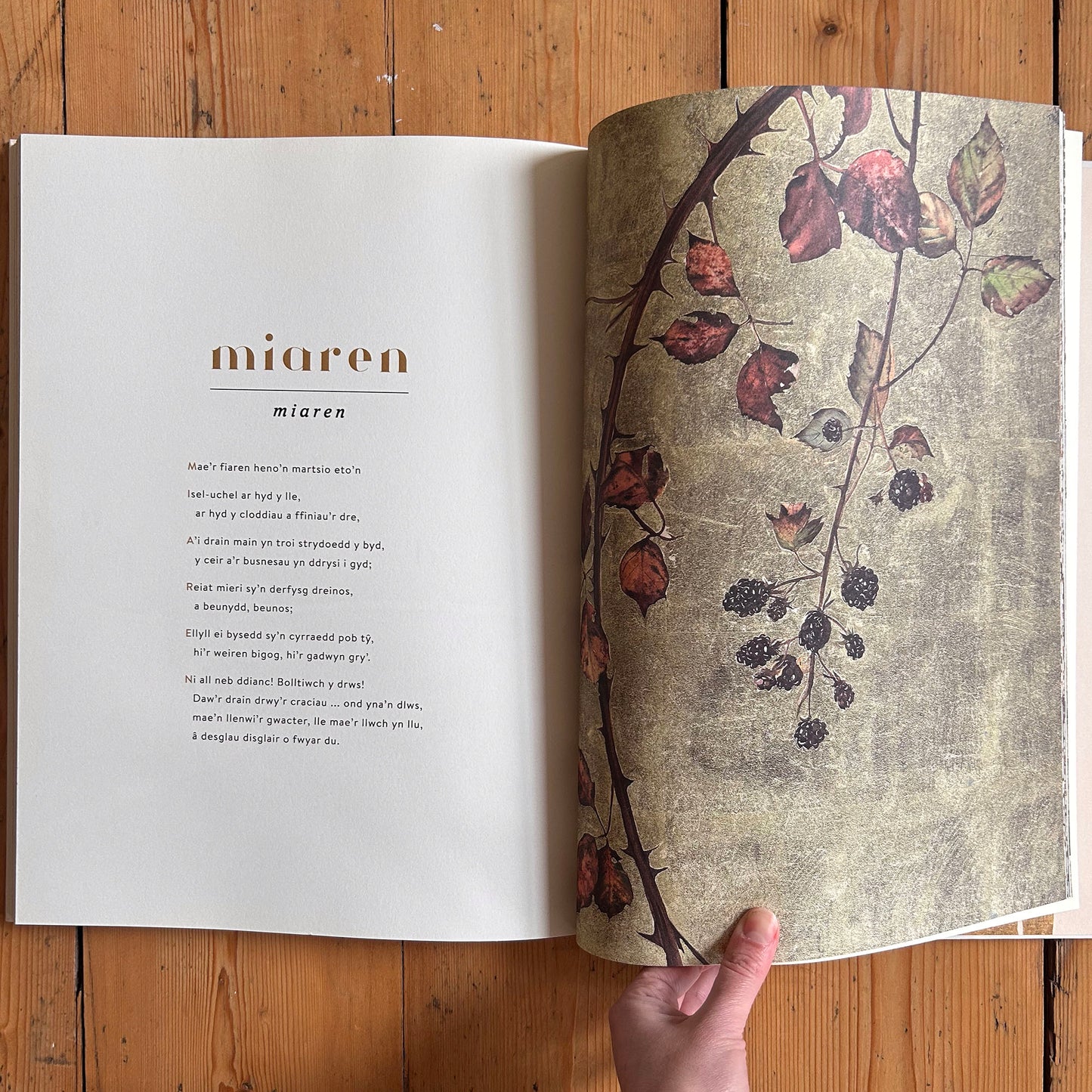 Geiriau Diflanedig - Robert Macfarlane & Jackie Morris (Preloved)
