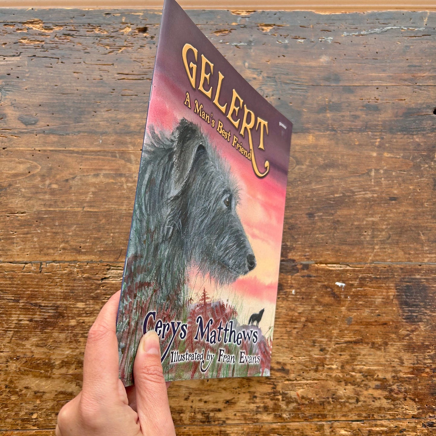 Gelert: A Man's Best Friend - Cerys Matthews (Preloved)