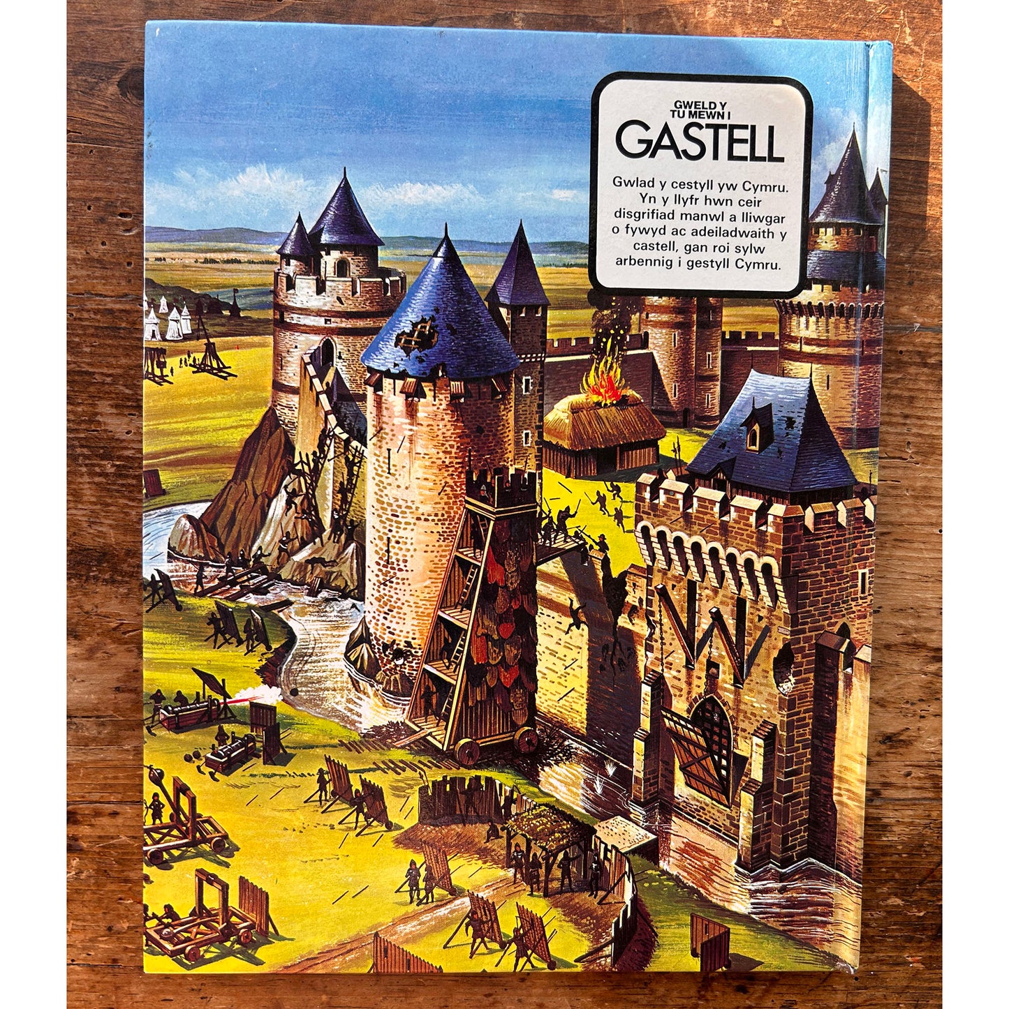 Gweld y Tu Mewn i - Gastell - 1979 (Preloved)