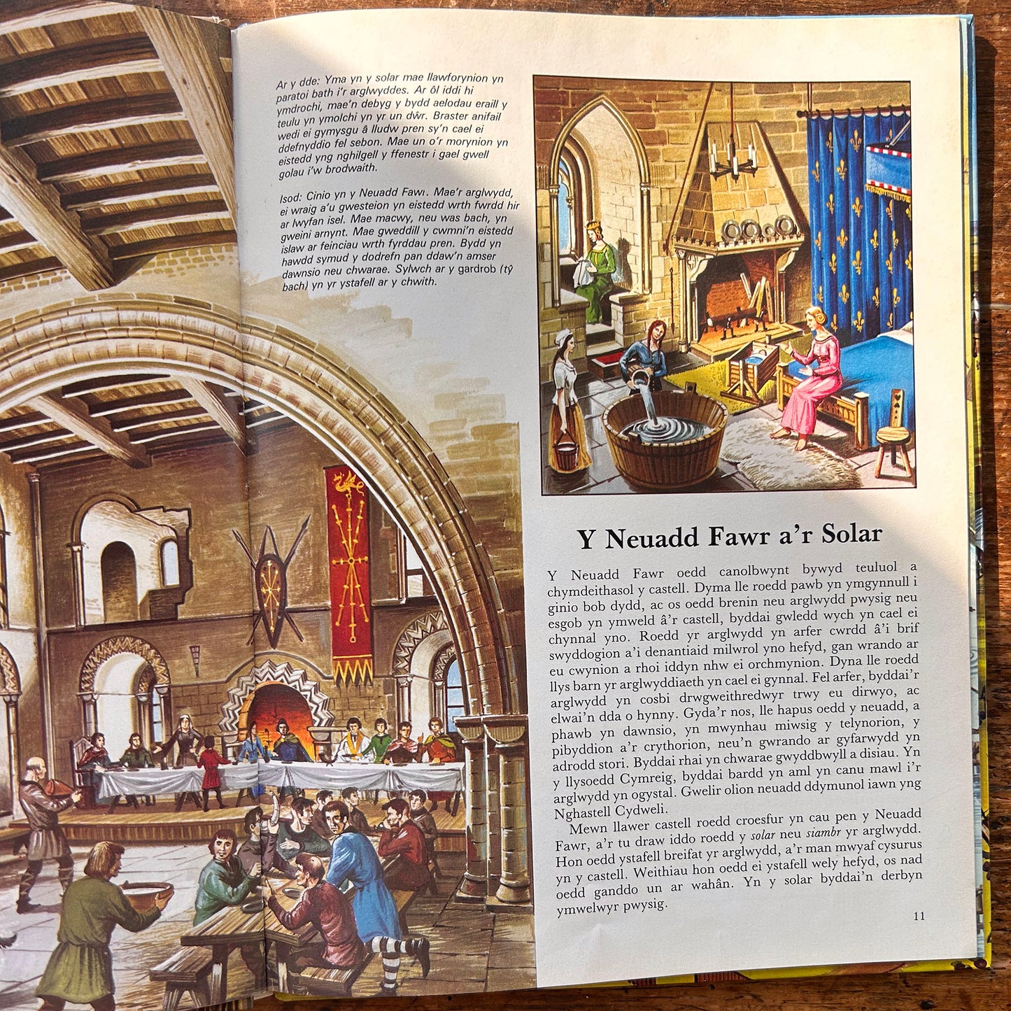 Gweld y Tu Mewn i - Gastell - 1979 (Preloved)