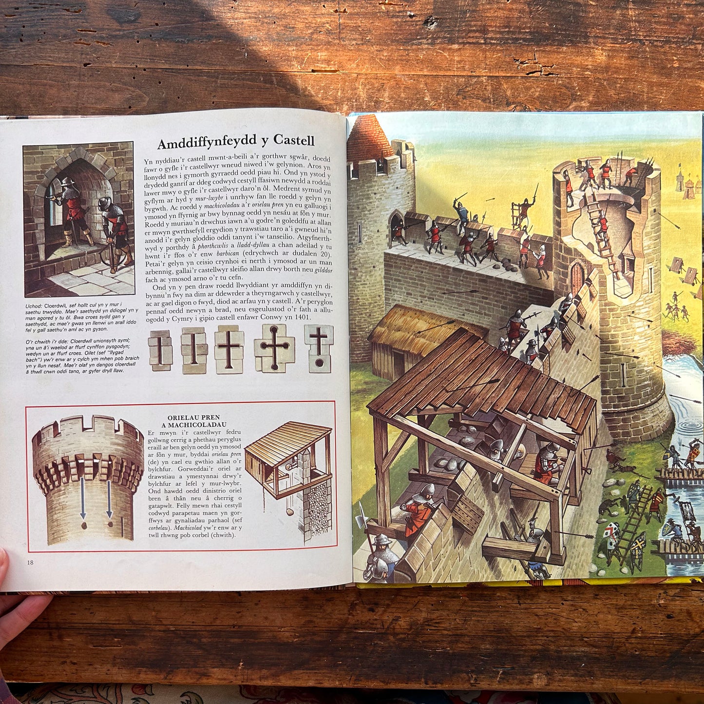 Gweld y Tu Mewn i - Gastell - 1979 (Preloved)