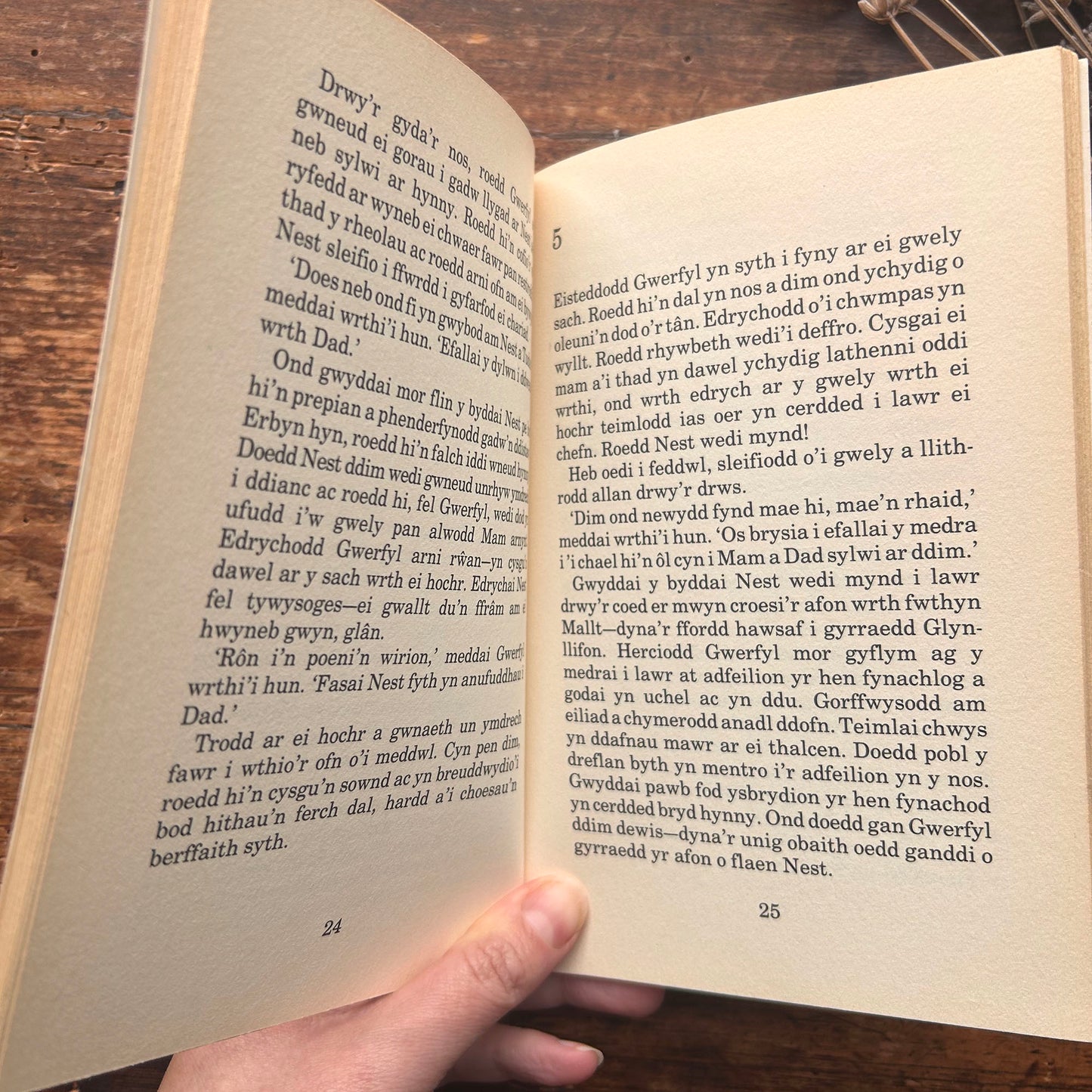 Gwerfyl Gam - Gwenno Hywyn - 1994 (Preloved)