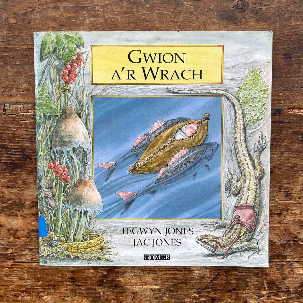 Gwion a'r Wrach - Chwedlau o Gymru / Welsh Legends (Preloved)